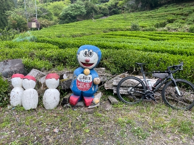 Photo from 2024/5/6