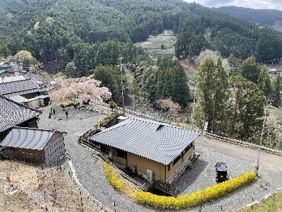 Photo from 2025/4/5