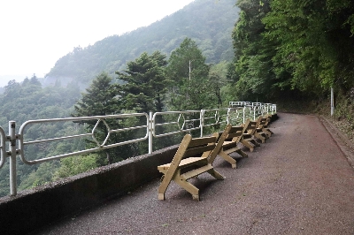 Photo from 2025/7/5