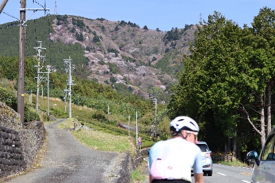 Photo from 2025/4/5